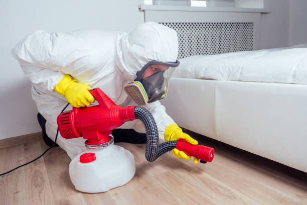 Emergency Pest Control Services in Clintonville, WI